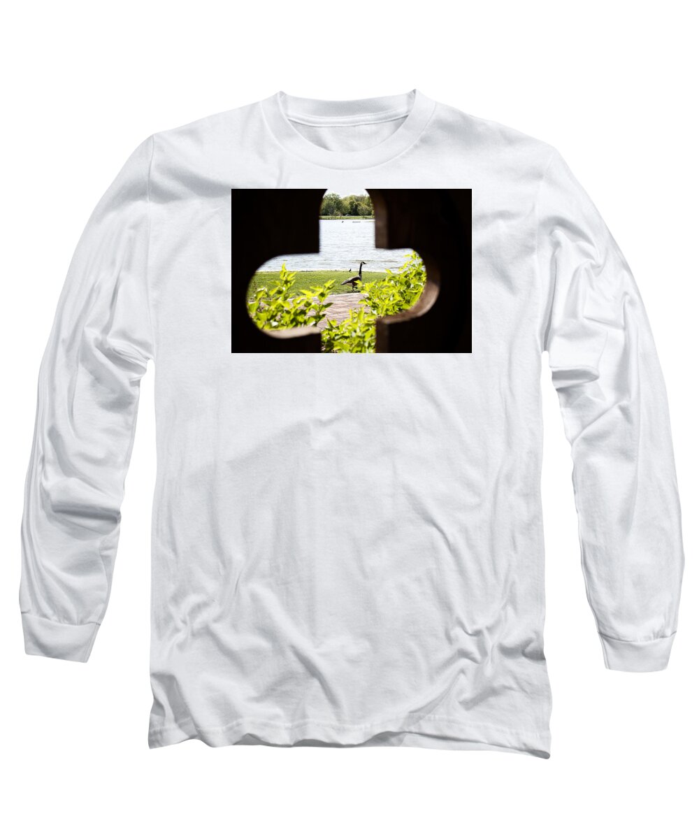 Bushes Long Sleeve T-Shirt featuring the photograph Framed Nature by Milena Ilieva