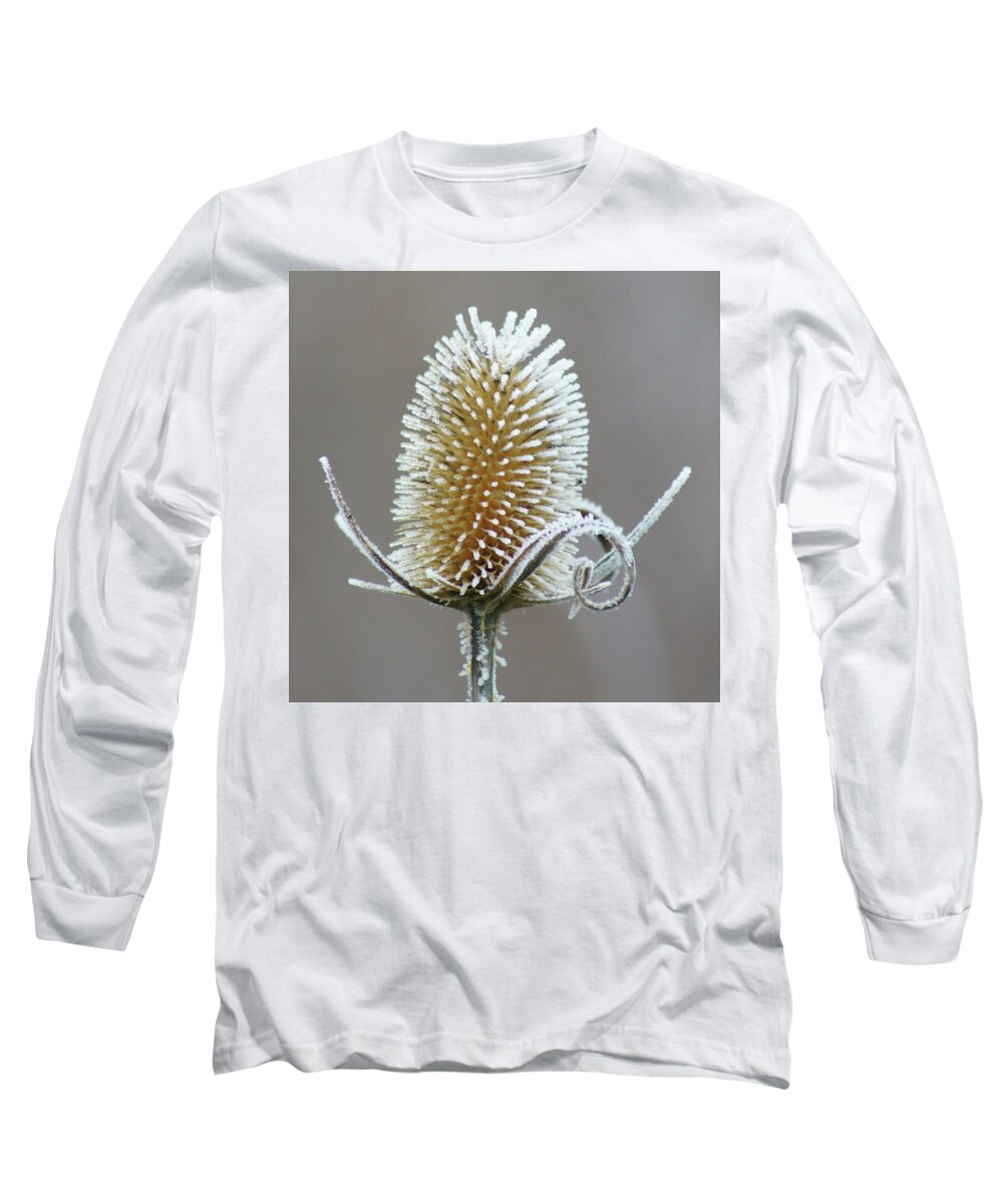Hoar Frost Long Sleeve T-Shirt featuring the photograph Frosted Teasel by Nikolyn McDonald