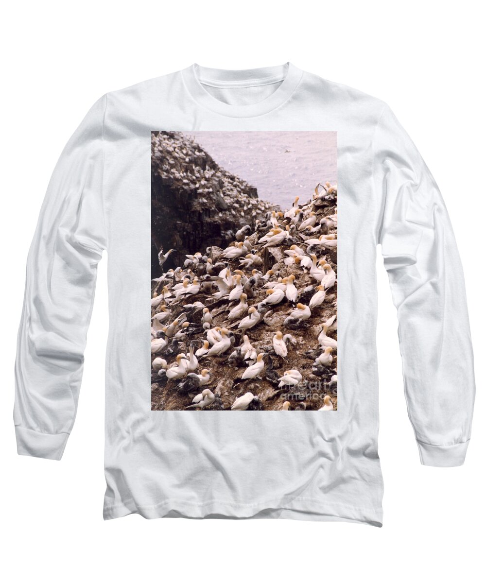 Gannet Long Sleeve T-Shirt featuring the photograph Gannet Cliffs by Mary Mikawoz