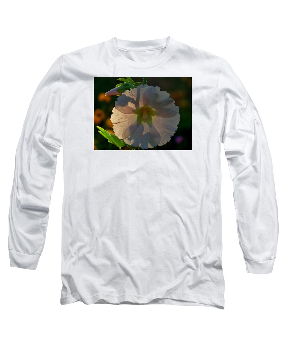 Hollyhocks At 5am Long Sleeve T-Shirt featuring the photograph Garden Magic by Marika Evanson