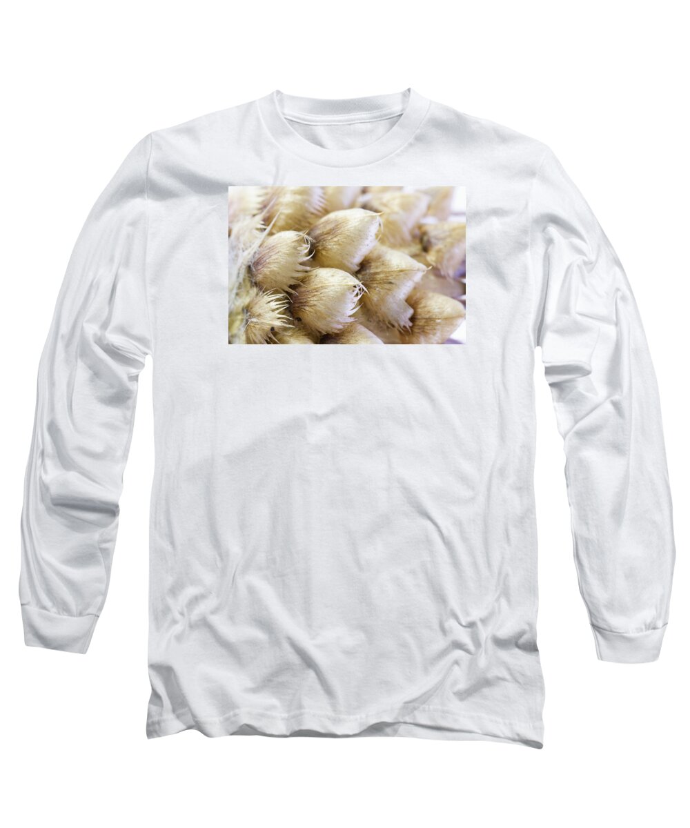 Globe Cornflower Long Sleeve T-Shirt featuring the photograph Globe Cornflower Seed Heads - Macro by Sandra Foster