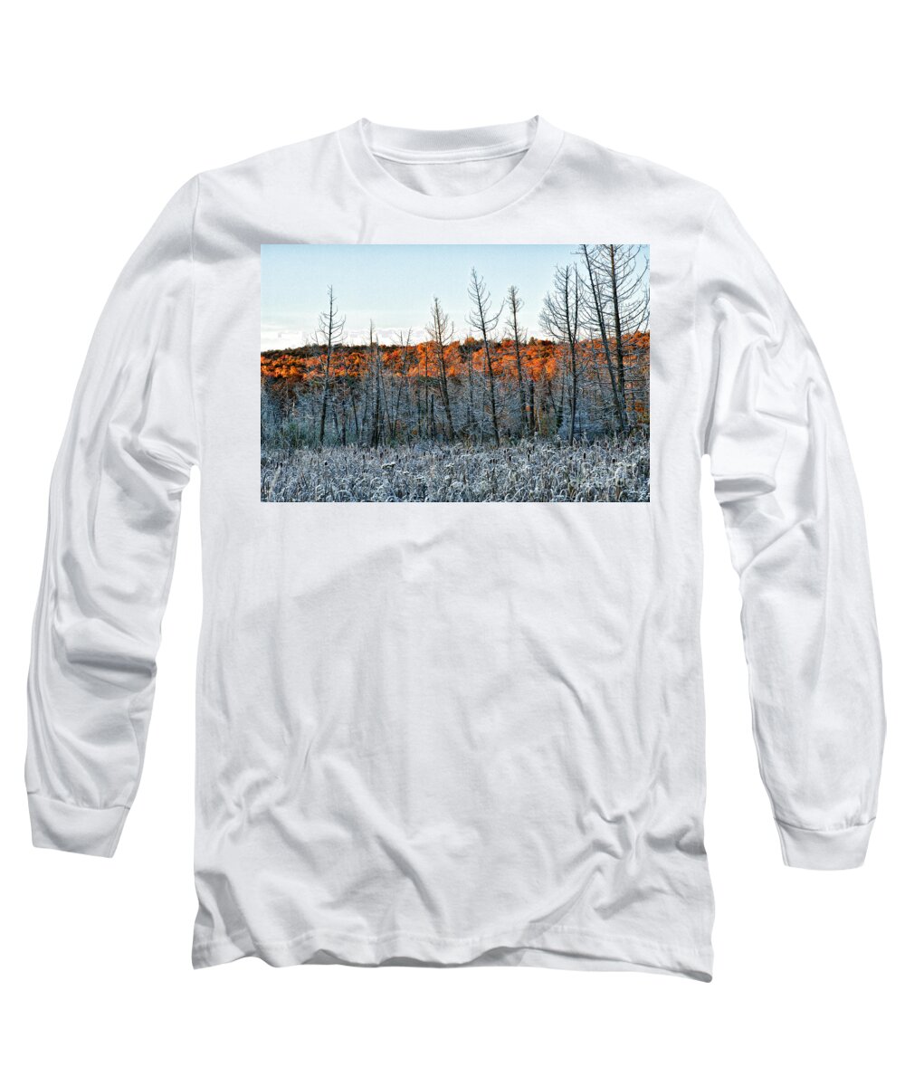  Long Sleeve T-Shirt featuring the photograph Golden Frost by Doug Gibbons