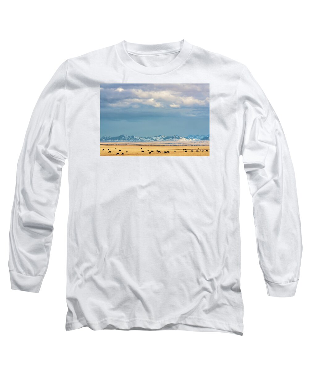 Cattle Long Sleeve T-Shirt featuring the photograph Grazing Near Highwood by Todd Klassy