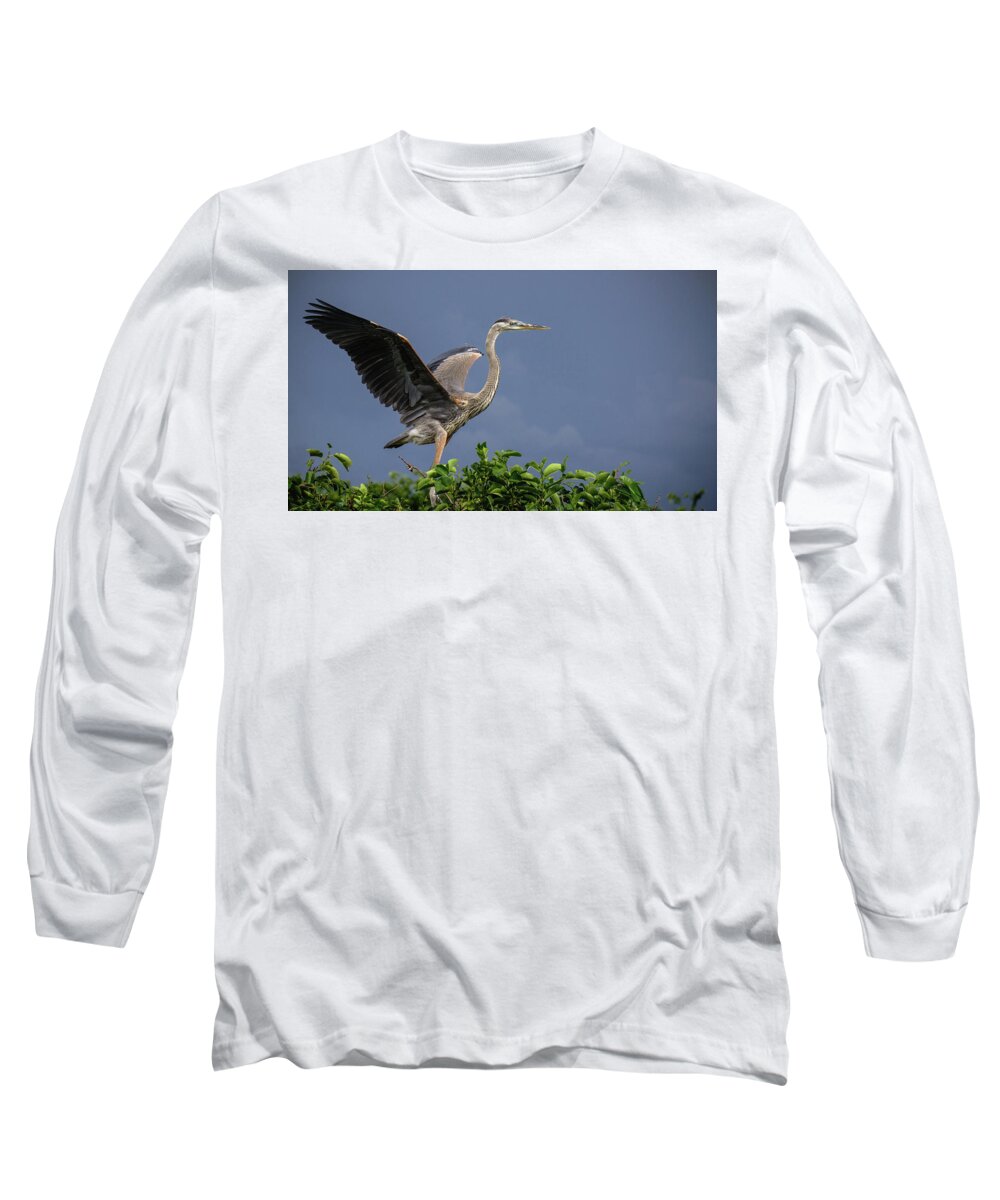 Florida Long Sleeve T-Shirt featuring the photograph Great Blue Heron Delray Beach Florida by Lawrence S Richardson Jr
