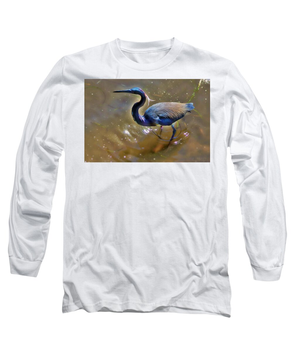  Long Sleeve T-Shirt featuring the photograph Green Heron by Stoney Lawrentz
