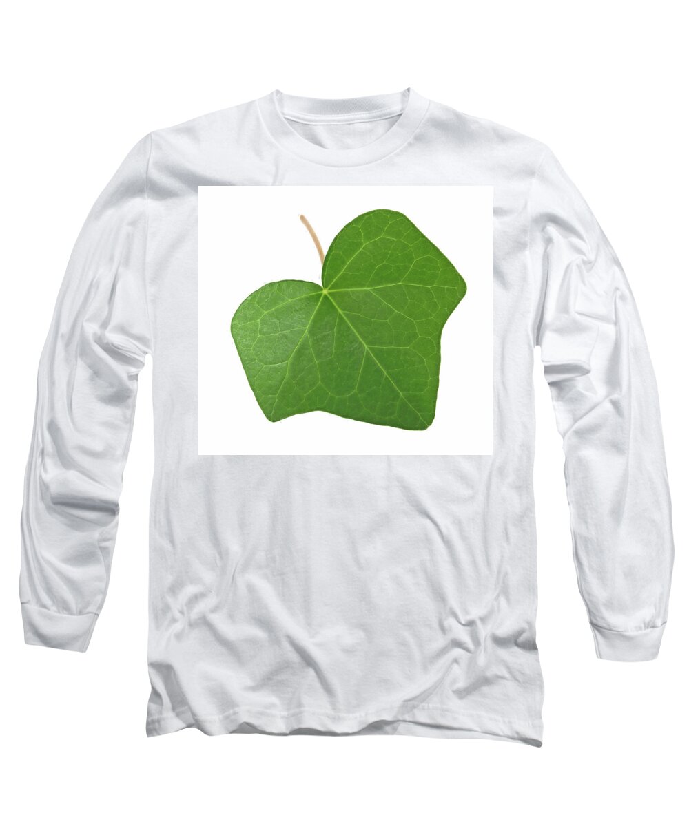 Leaf Long Sleeve T-Shirt featuring the photograph Green ivy leaf by GoodMood Art