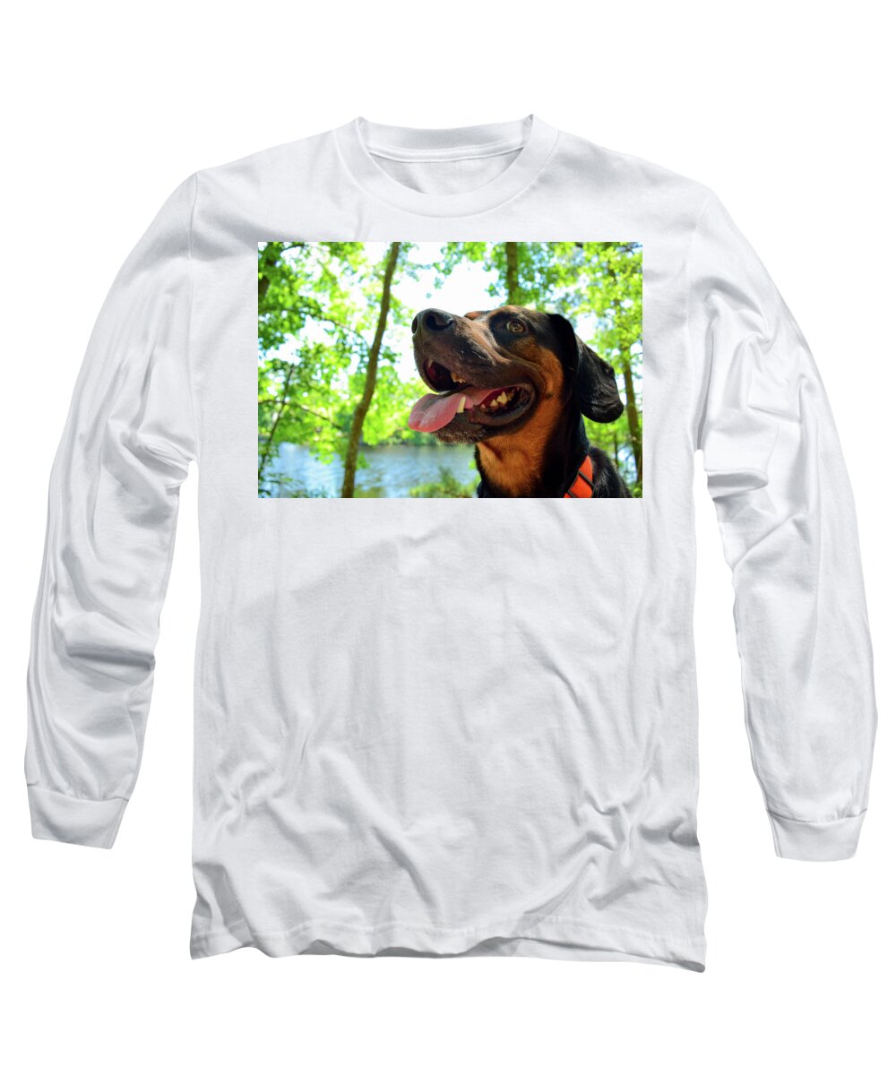 Hike Long Sleeve T-Shirt featuring the photograph Gus on a Hike by Nicole Lloyd