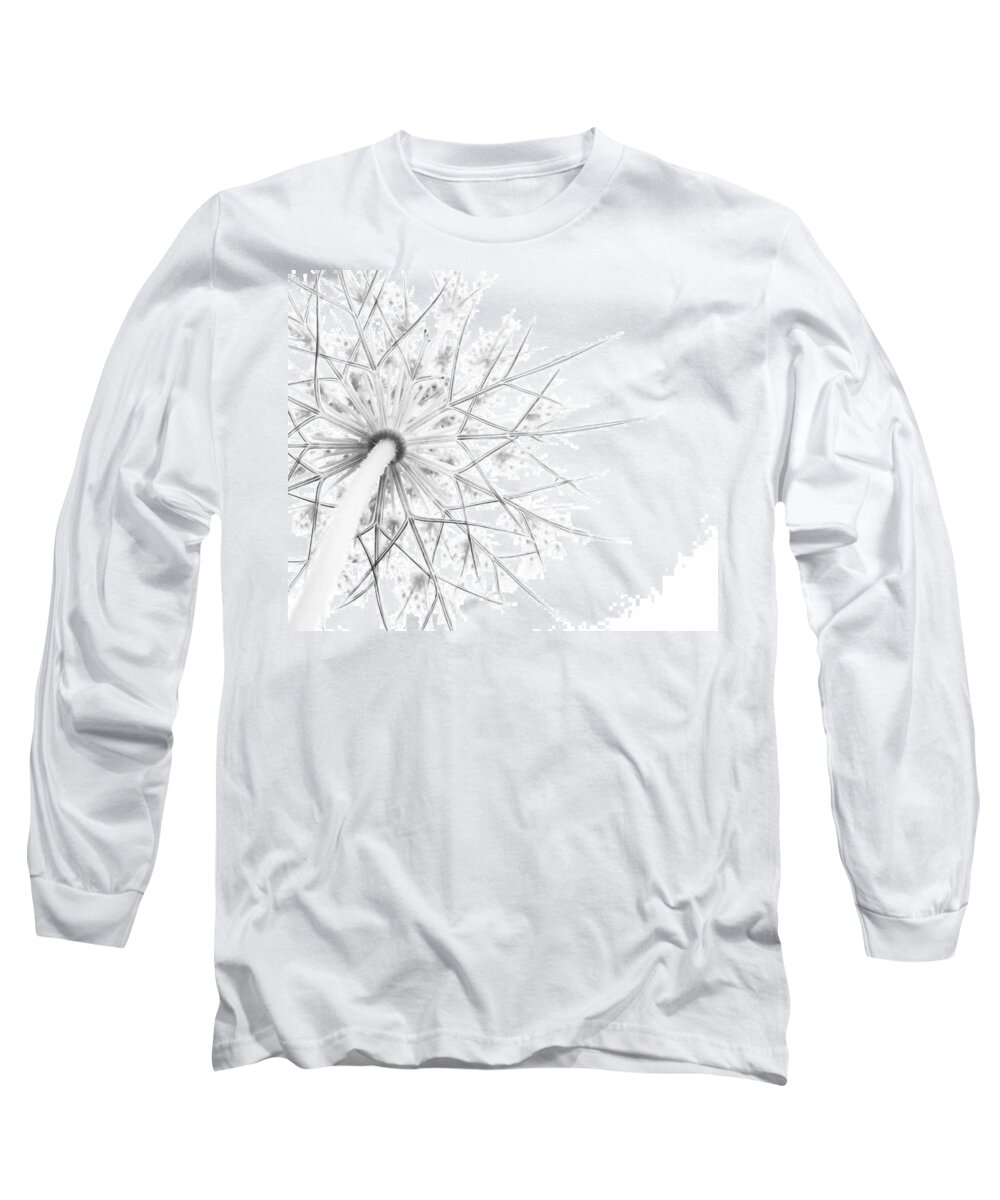 Queen Anne's Lace Long Sleeve T-Shirt featuring the photograph Summer Snow by Holly Ross