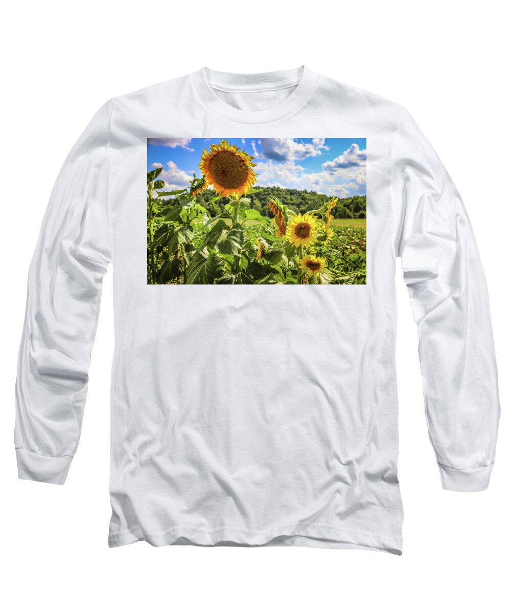 Biltmore Estate Long Sleeve T-Shirt featuring the photograph Happy Biltmore Sunflower by Dana Foreman
