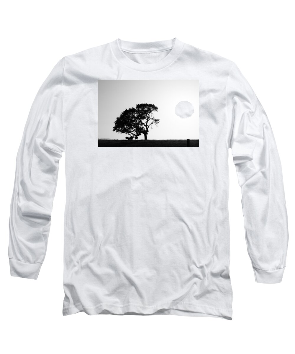Cows Long Sleeve T-Shirt featuring the photograph Happy Cows by Zach Brown