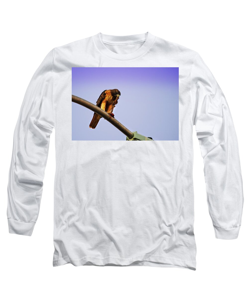 Hawk Long Sleeve T-Shirt featuring the photograph Hawk Eating by Anthony Jones
