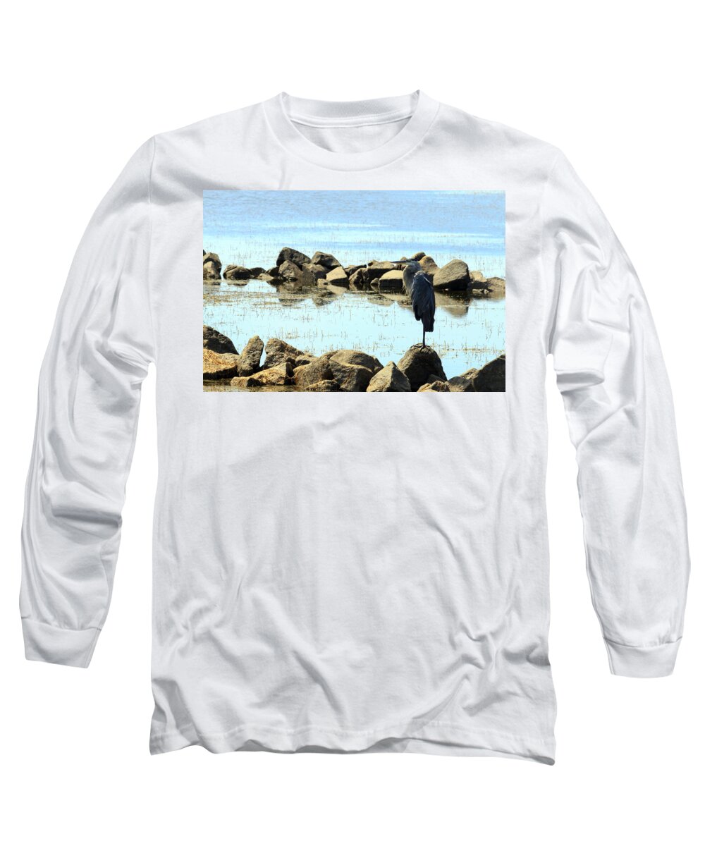 Alert Long Sleeve T-Shirt featuring the photograph Heron on the Rocks by Travis Rogers