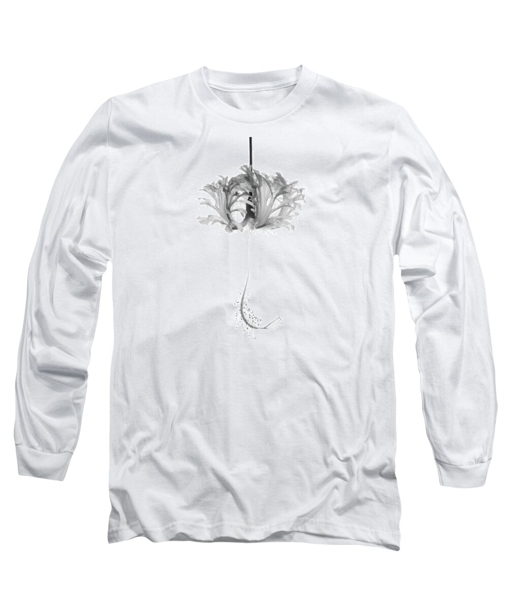 Hibiscus Long Sleeve T-Shirt featuring the photograph Hibiscus Schizopetalus Against a White Background in Black and White by Christopher Johnson