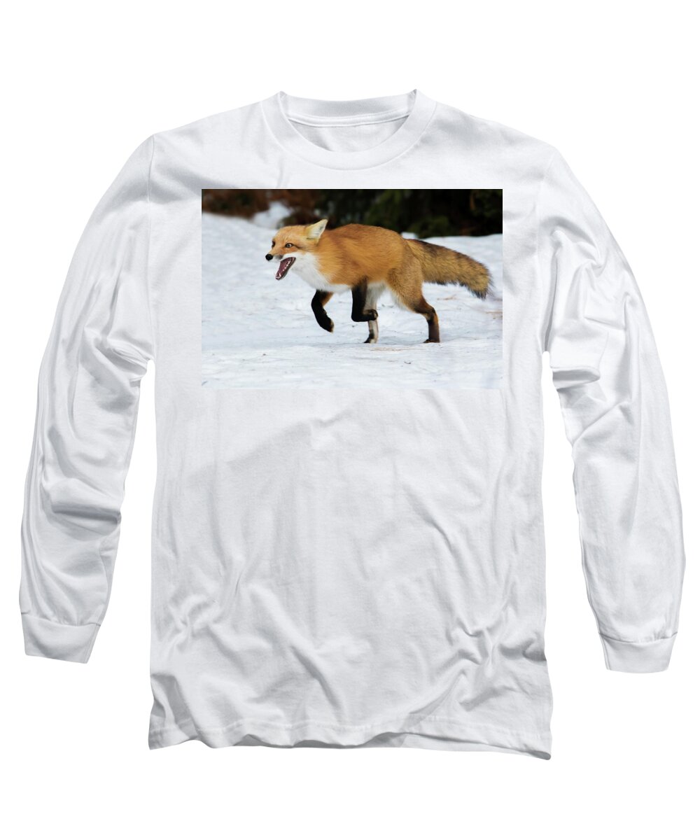 Animal Long Sleeve T-Shirt featuring the photograph High Speed Fox by Mircea Costina Photography