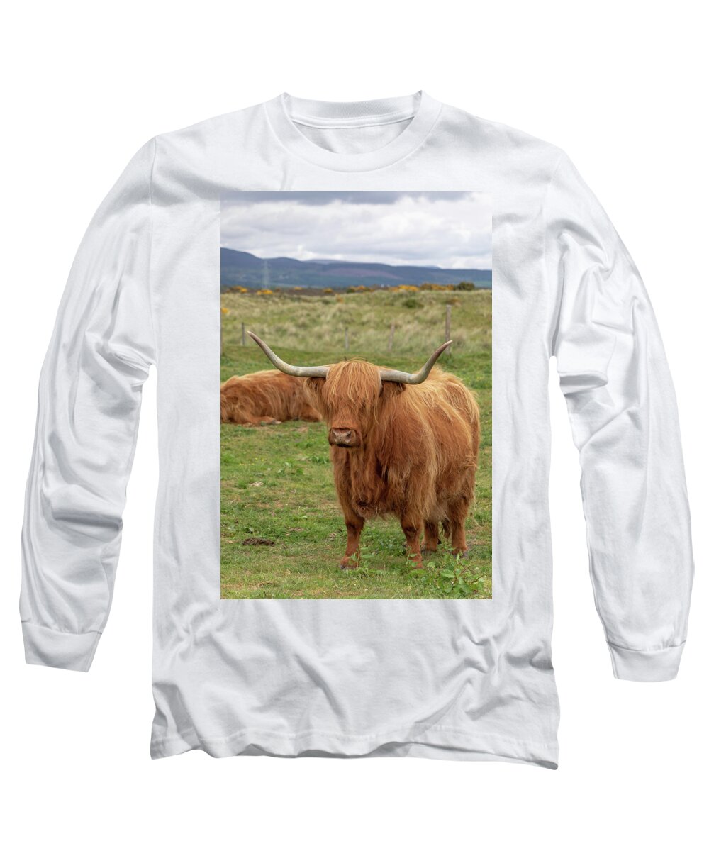 Animal Long Sleeve T-Shirt featuring the photograph Highland Cow 1396 by Teresa Wilson