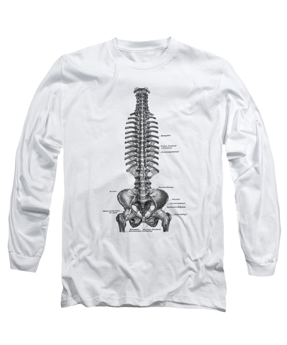 Spinal Cord Long Sleeve T-Shirt featuring the drawing Human Spine and Pelvis - Simple Diagram - Vintage Anatomy by Vintage Anatomy Prints