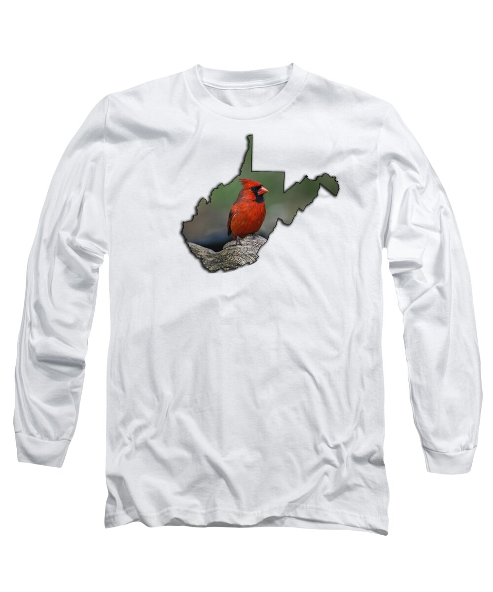Bird; Cardinal; Male; Red; Nature Long Sleeve T-Shirt featuring the photograph I am pretty by Dan Friend