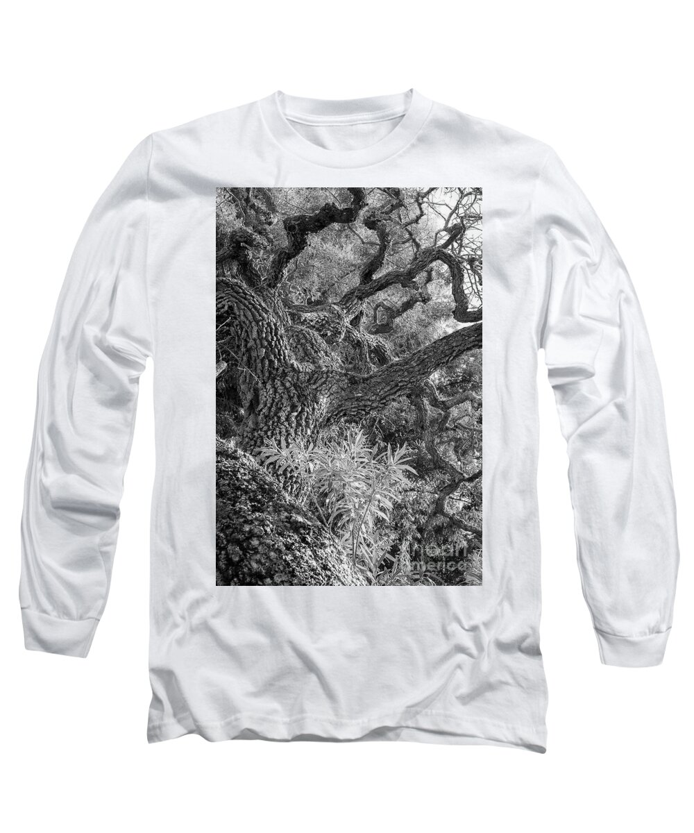 B/w Long Sleeve T-Shirt featuring the photograph Convolutions by Dean Birinyi