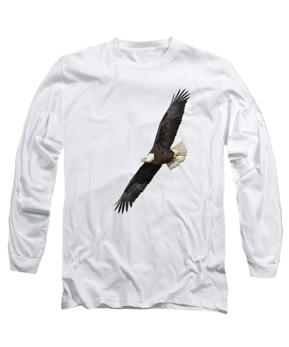 American Bald Eagle Long Sleeve T-Shirt featuring the photograph Isolated American Bald Eagle 2016-3 by Thomas Young