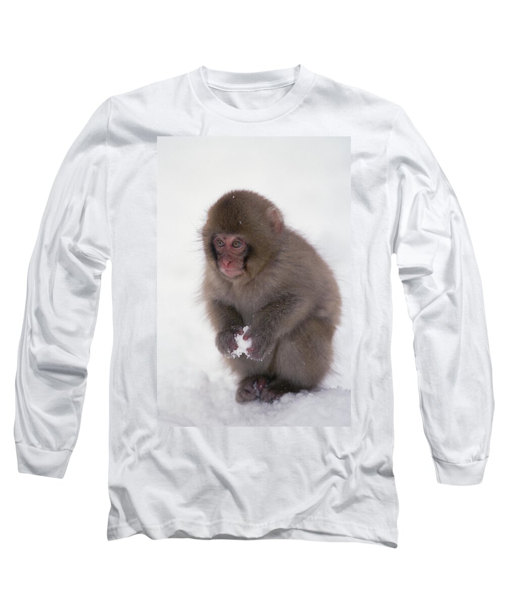 Mp Long Sleeve T-Shirt featuring the photograph Japanese Macaque Macaca Fuscata Baby by Konrad Wothe