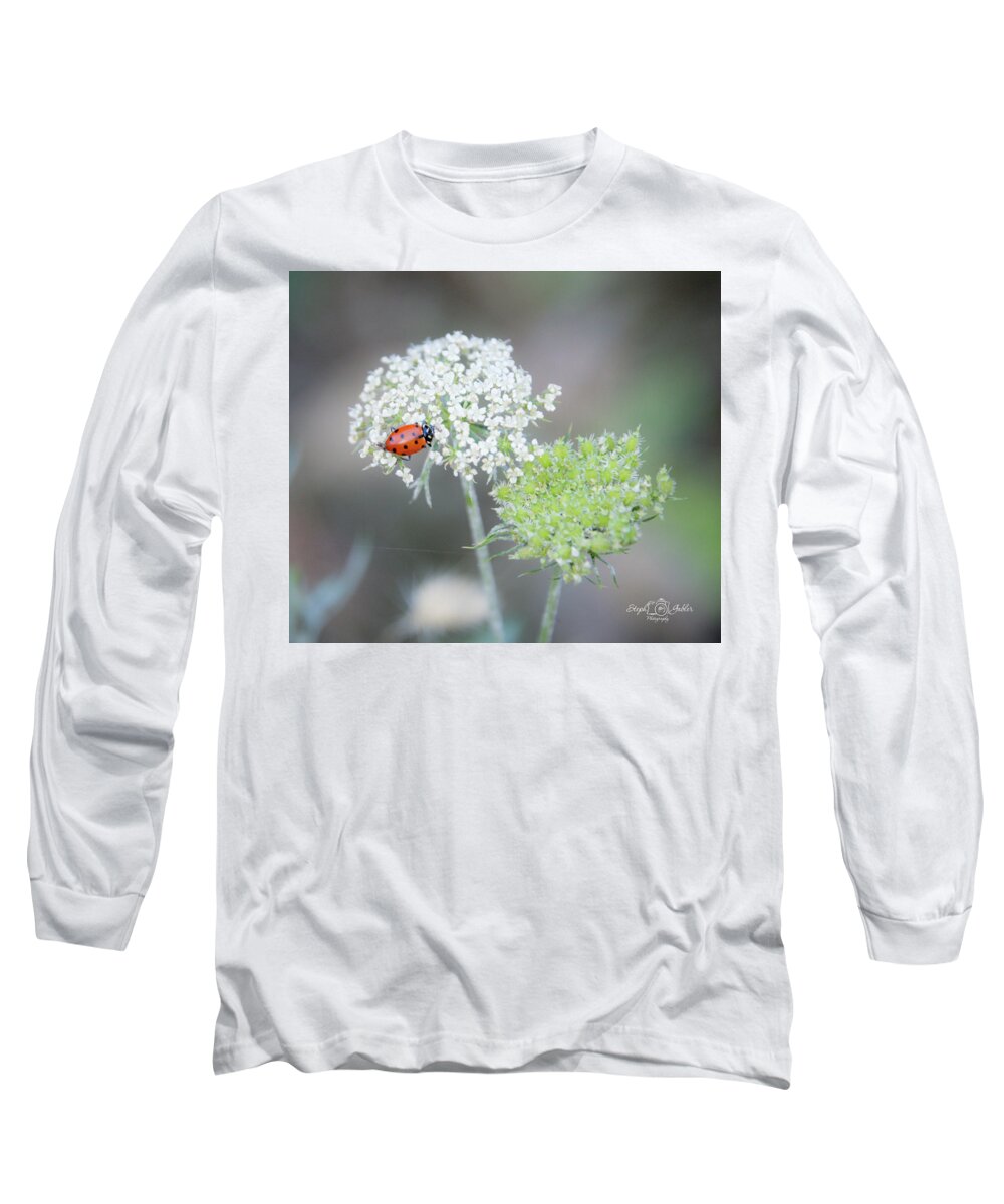 Ladybug Long Sleeve T-Shirt featuring the photograph Lady on the Lace II by Steph Gabler