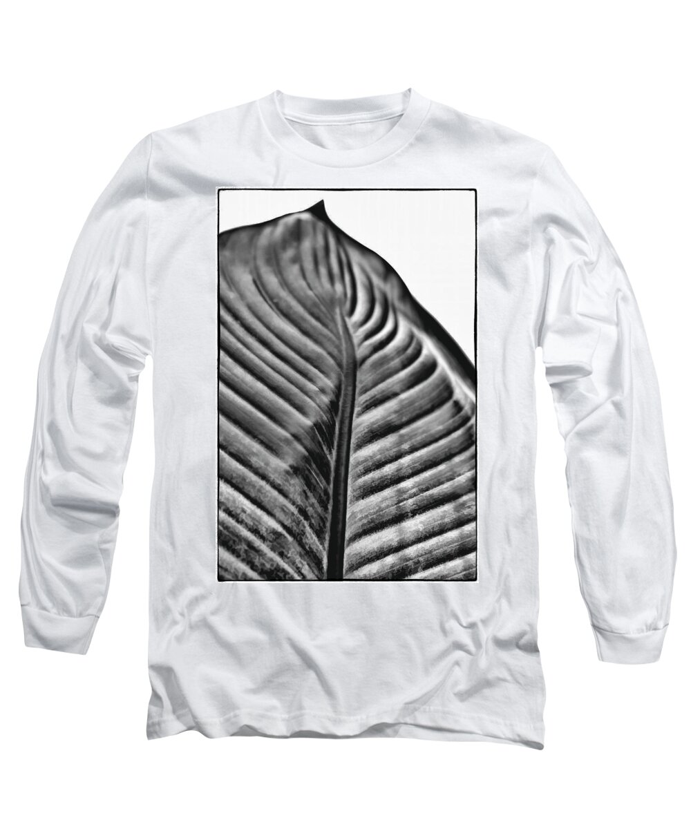 Leaf Long Sleeve T-Shirt featuring the photograph Large Leaf by John Hansen