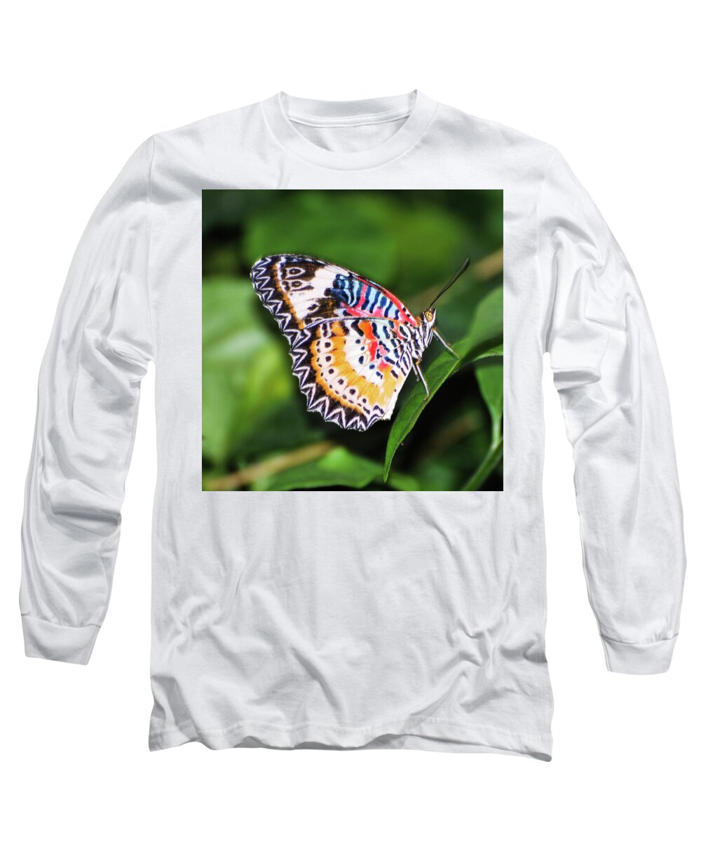 Black And White Long Sleeve T-Shirt featuring the photograph Leopard Lacewing Buterfly by Winnie Chrzanowski