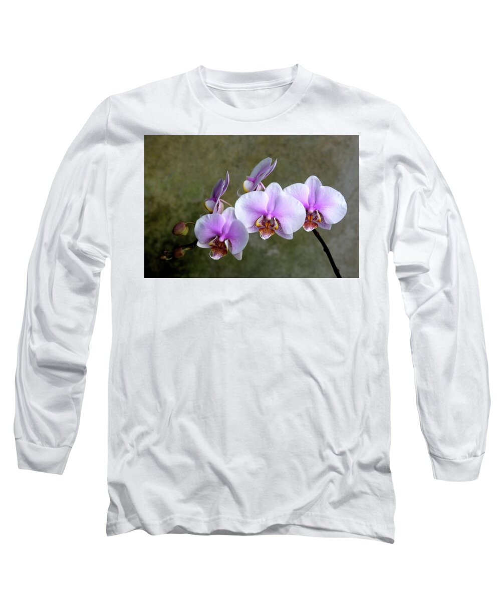 Orchids Long Sleeve T-Shirt featuring the photograph Lilac Orchids by Rochelle Berman