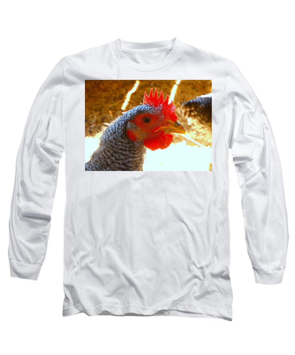 Chicken Long Sleeve T-Shirt featuring the photograph Little Red by Imagery-at- Work