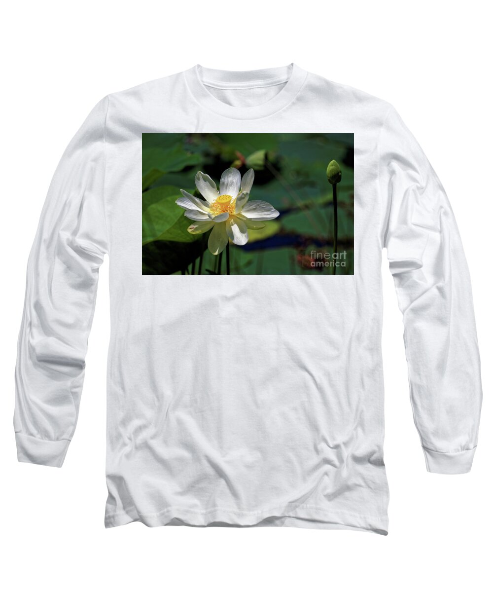 Lotus Long Sleeve T-Shirt featuring the photograph Lotus Blossom by Paul Mashburn