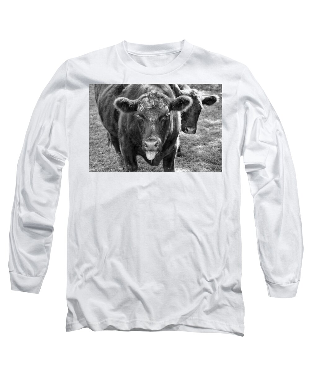 Cow Long Sleeve T-Shirt featuring the photograph Mad Cow by Joseph Caban