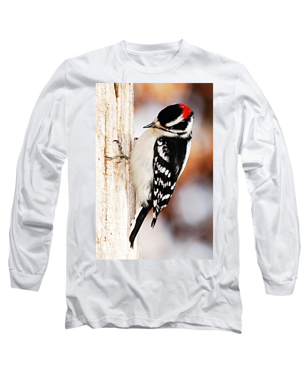 Photography Long Sleeve T-Shirt featuring the photograph Male Downy Woodpecker 3 by Larry Ricker