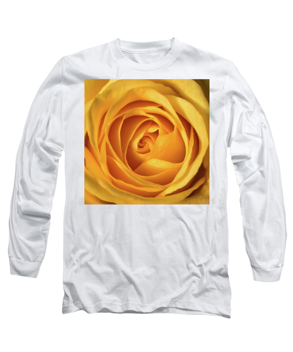 Terry D Photography Long Sleeve T-Shirt featuring the photograph Mellow Yellow Rose Square by Terry DeLuco