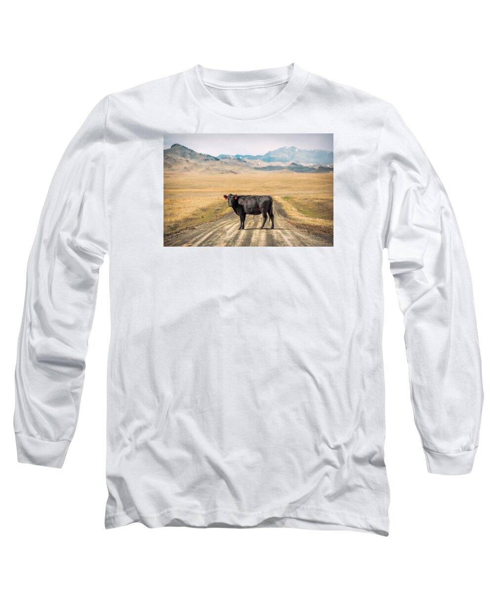 Black Angus Long Sleeve T-Shirt featuring the photograph Middle of the Road by Todd Klassy