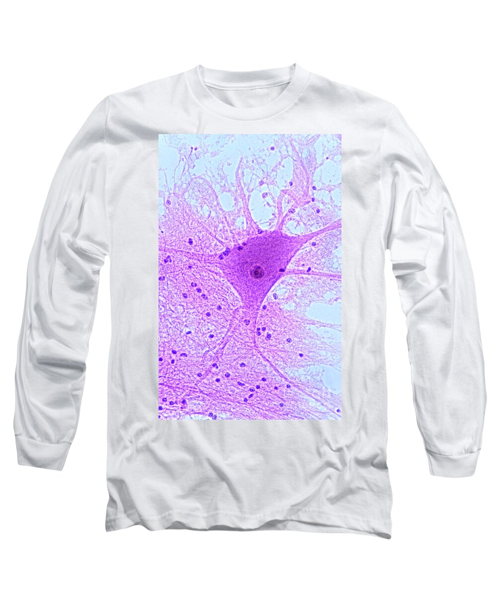 Histology Long Sleeve T-Shirt featuring the photograph Motor Neuron From Spinal Cord by M I Walker