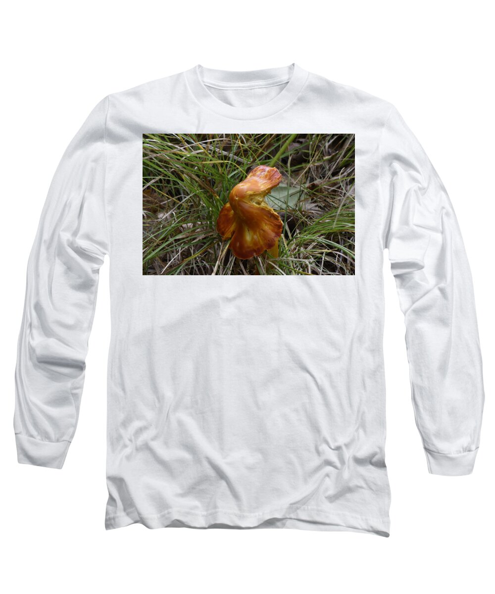 Mushroom Long Sleeve T-Shirt featuring the photograph Mushroom in Grass by Paul Freidlund