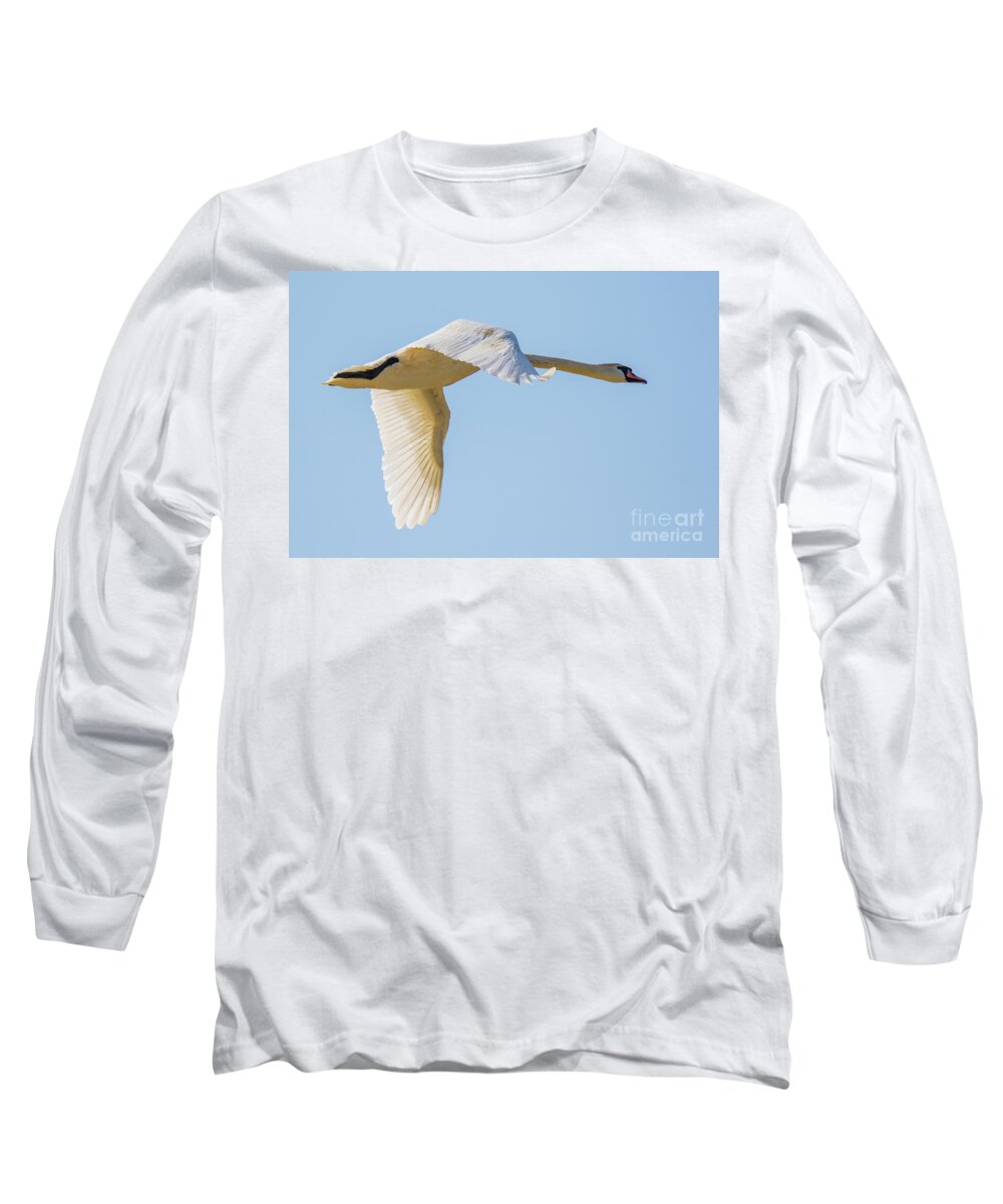 Anatidae Long Sleeve T-Shirt featuring the photograph Mute swan by Jivko Nakev