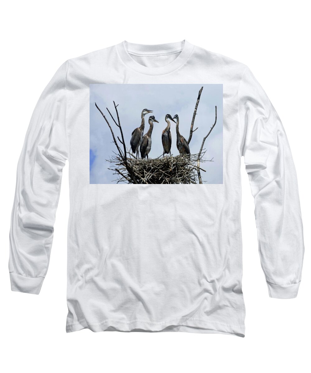 Great Blue Heron Long Sleeve T-Shirt featuring the photograph New Generation by Lyuba Filatova