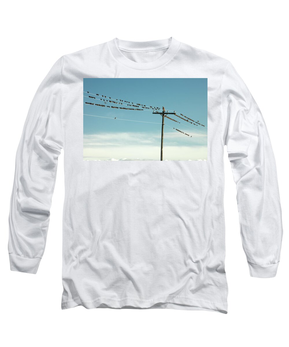 Hawk Long Sleeve T-Shirt featuring the photograph Not Like the Others by Todd Klassy