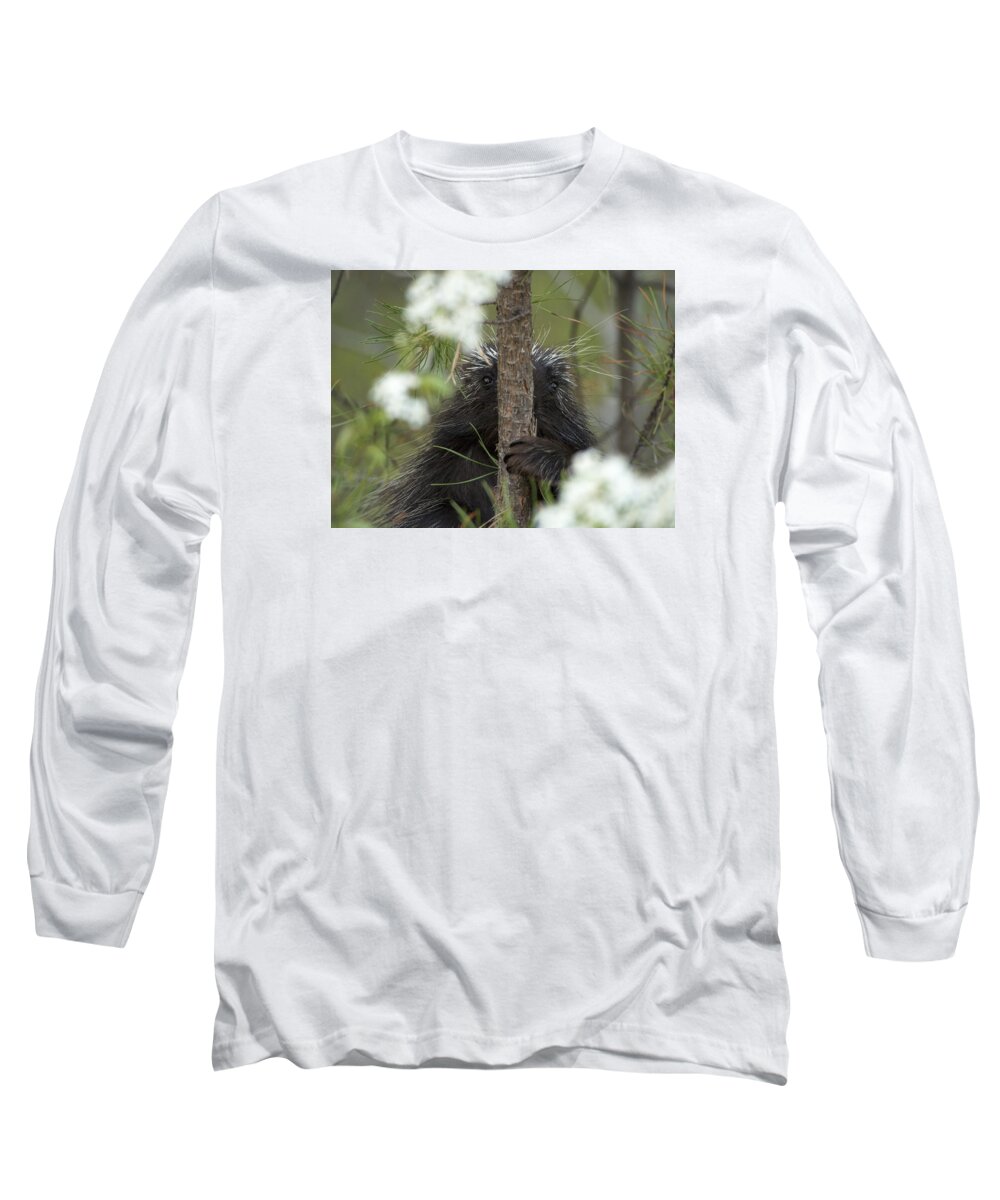 Kennebunk Plains Long Sleeve T-Shirt featuring the photograph Nowhere to Hide by Ian Johnson
