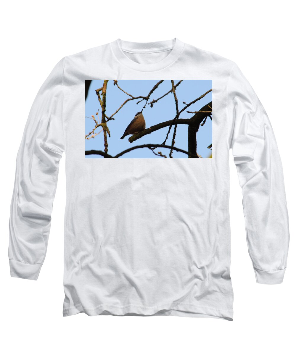 Nuthatch Long Sleeve T-Shirt featuring the photograph Nuthatch With Head High by Adrian Wale
