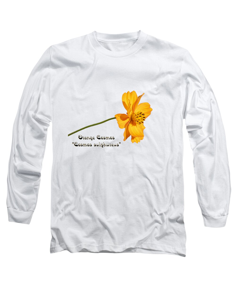Orange Cosmos Flower Long Sleeve T-Shirt featuring the photograph Orange Cosmos Isolated 2018-1 by Thomas Young