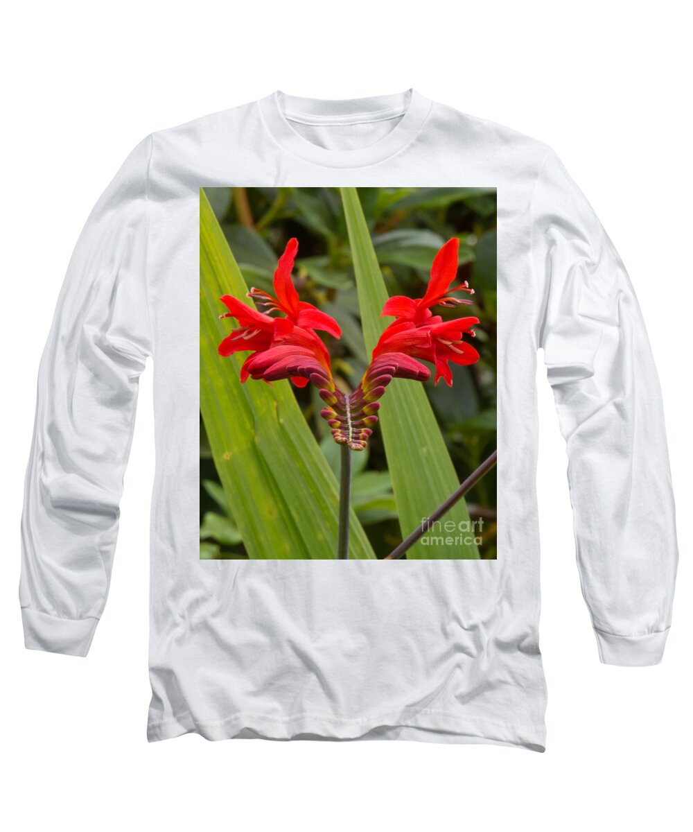 Red Long Sleeve T-Shirt featuring the photograph Oregon Flower 1 by Christy Garavetto