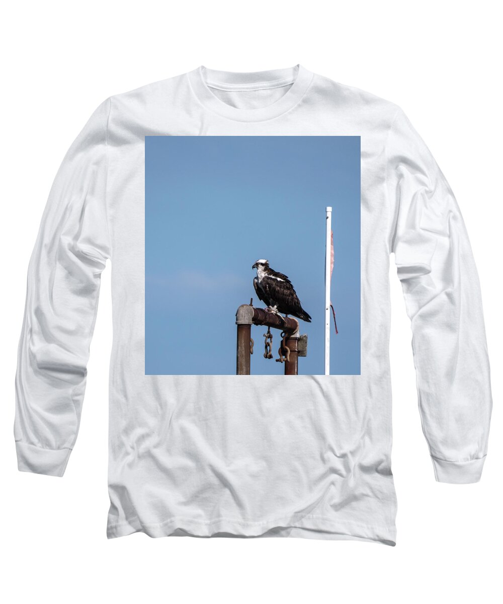 Birds Long Sleeve T-Shirt featuring the photograph Osprey having lunch by Paul Ross