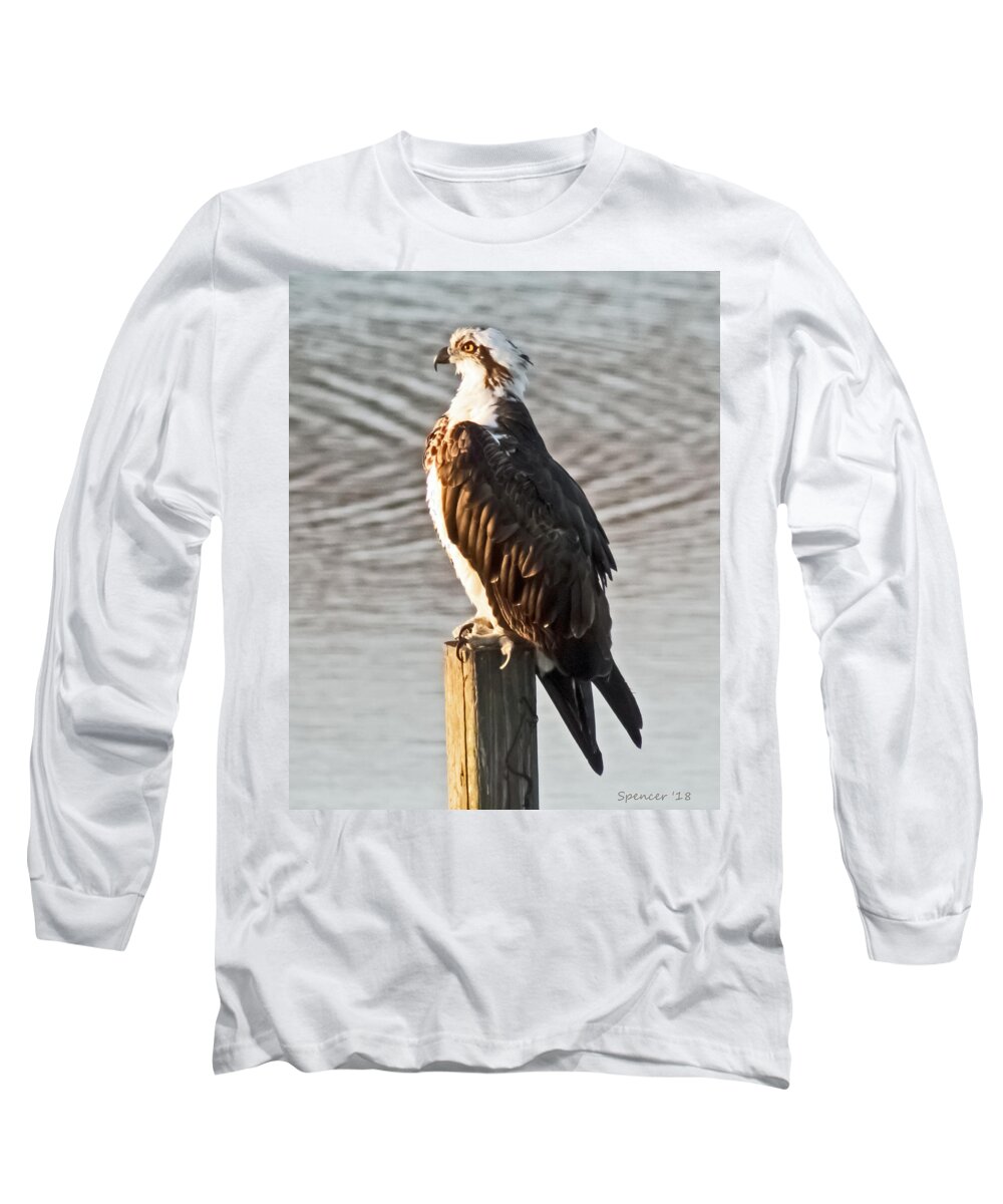 Bird Long Sleeve T-Shirt featuring the photograph Osprey on Post by T Guy Spencer