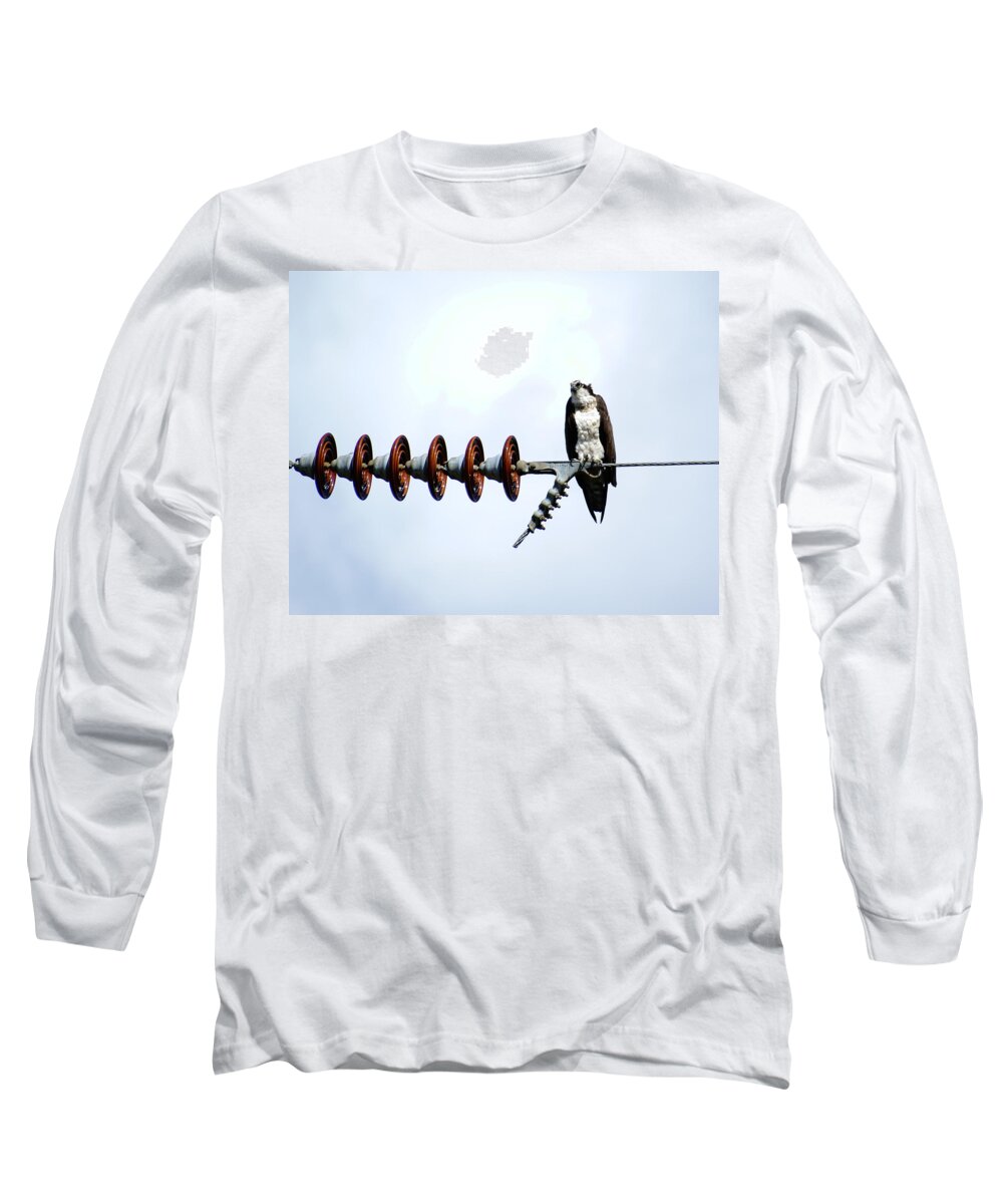 Birds Long Sleeve T-Shirt featuring the photograph Osprey on Powerline 1 by Ben Upham III