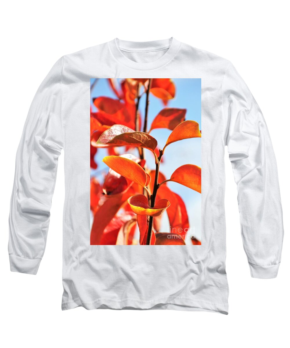 Glorious Long Sleeve T-Shirt featuring the photograph Persimmon Leaves by Tracey Lee Cassin
