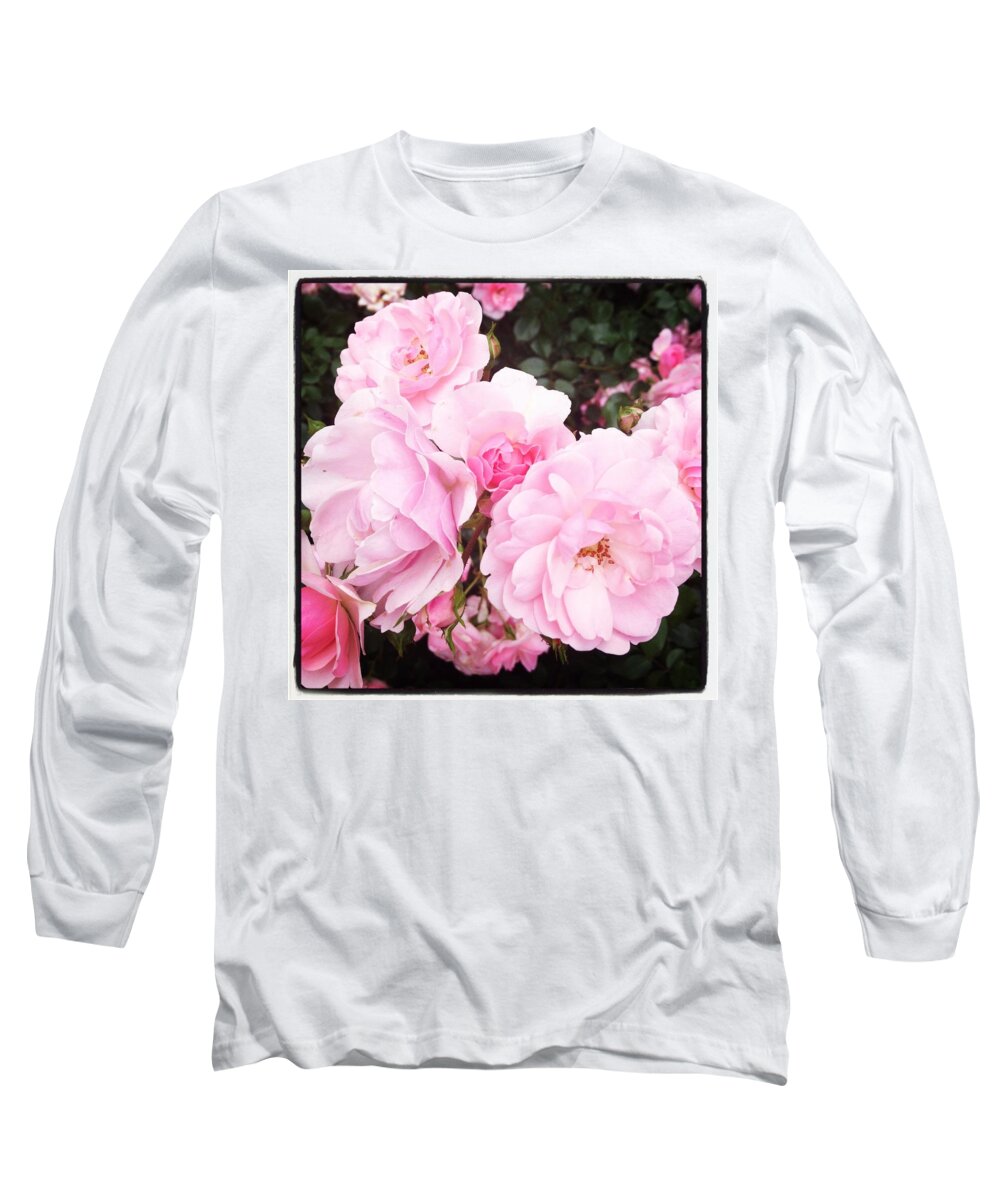 Pink Long Sleeve T-Shirt featuring the photograph Pink Beauties by Will Felix