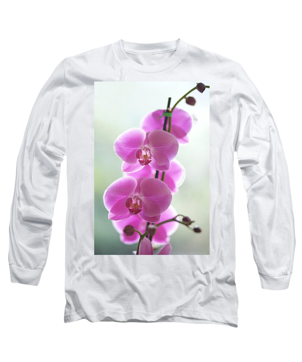 Background Long Sleeve T-Shirt featuring the photograph Pink Orchids by Kicka Witte - Printscapes