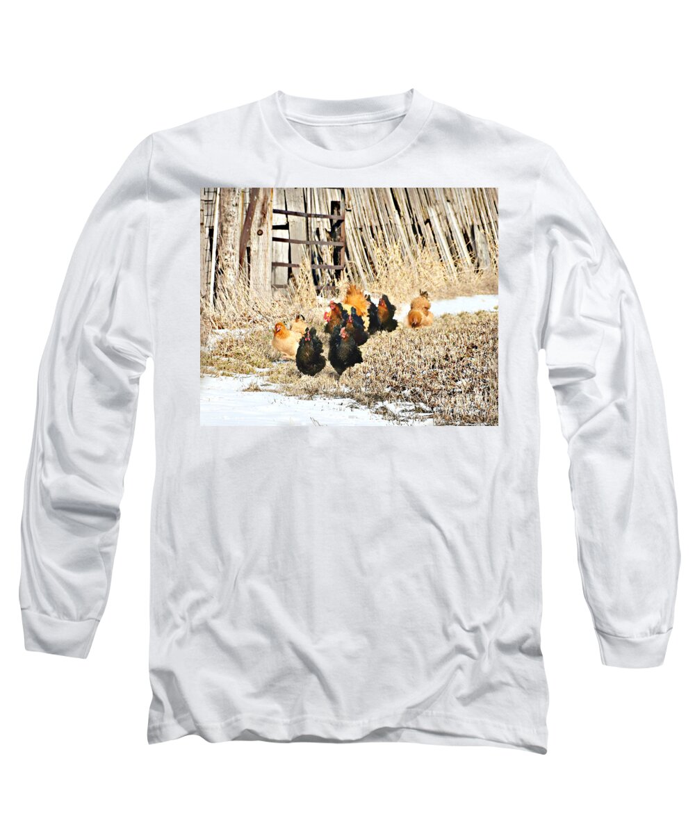 Poultry Parade Long Sleeve T-Shirt featuring the photograph Poultry Parade by Kathy M Krause